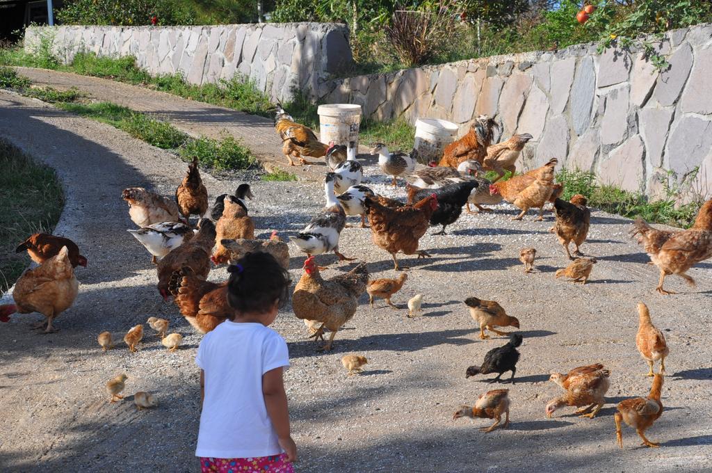 Отель Le Refuge La Ferme Экстерьер фото